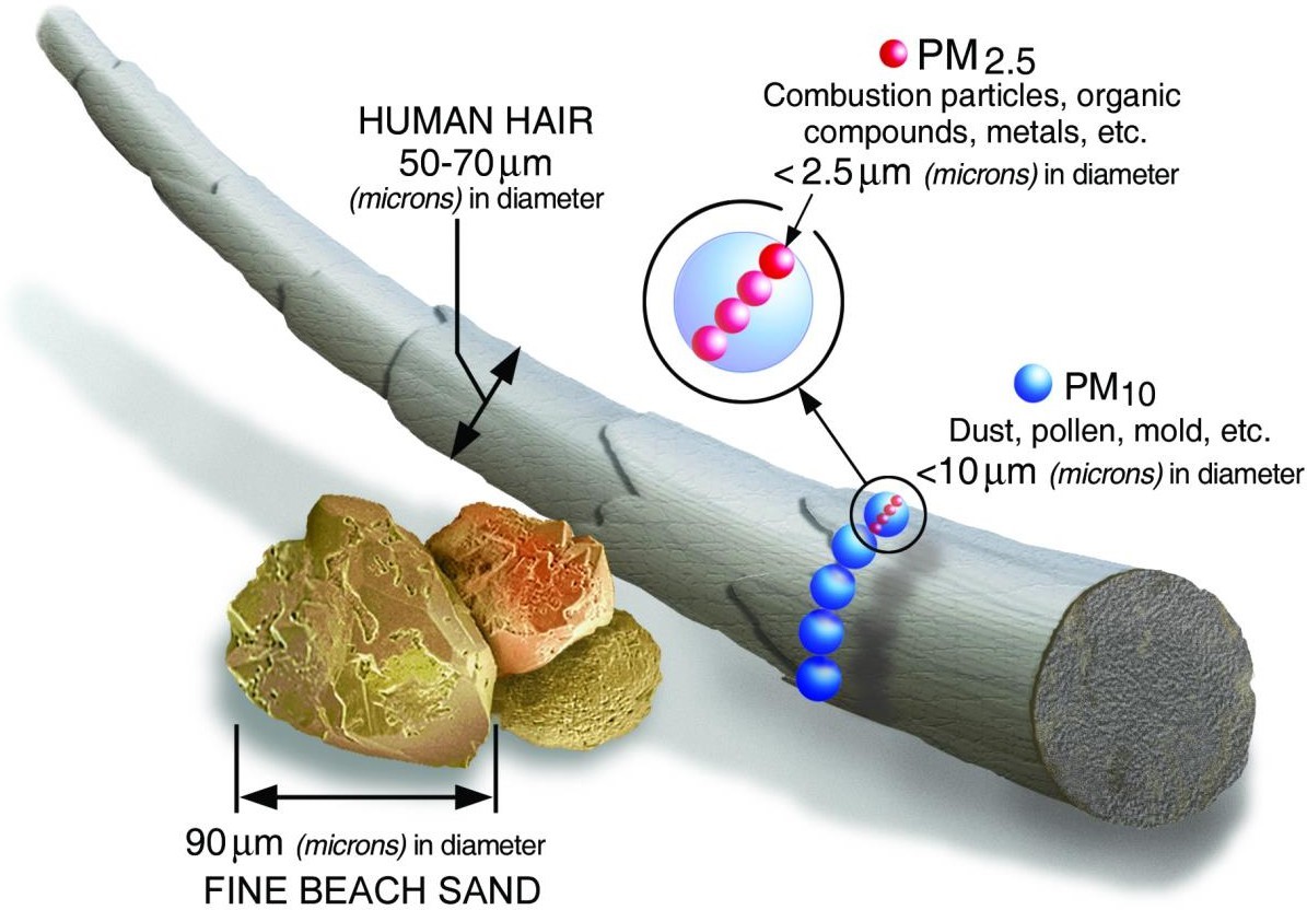 particulate matter